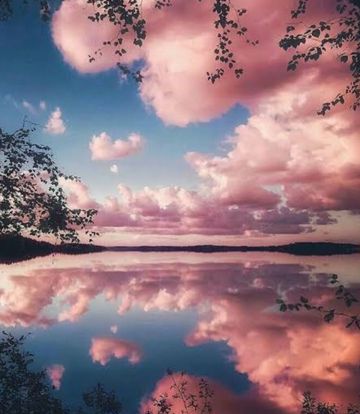 coveImg