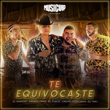 Te Equivocaste-cover