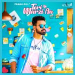 Teri Marzi Aa-cover