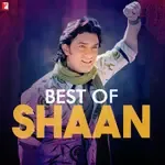 Pairon Mein Bandhan Hai-cover