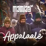 Appalaale (From &quot;Nayattu&quot;)-cover