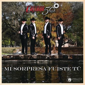 Mi Sorpresa Fuiste Tú-cover