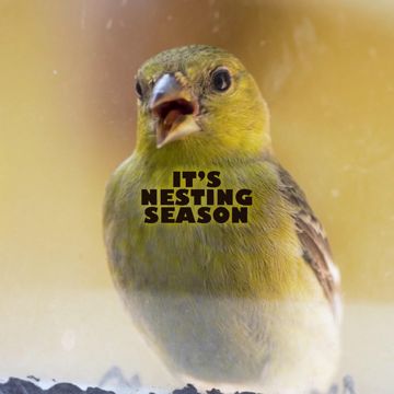 coveImg