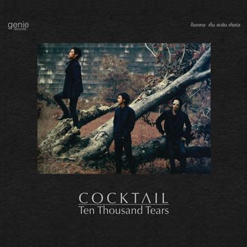 ระบำกลางไฟ-cover