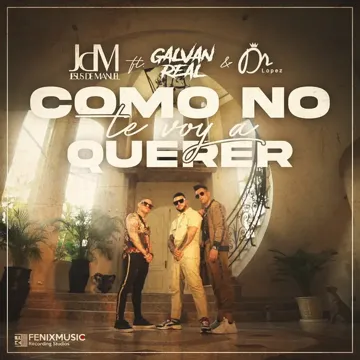 Como no te voy a querer-cover