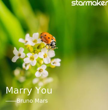 Marry You-cover
