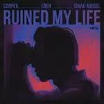 Ruined My Life-cover