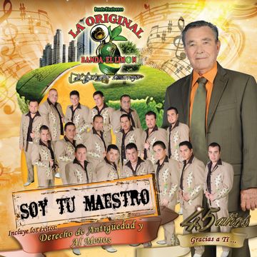 Si Pudiera-cover