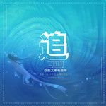 追-cover