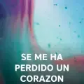 Se Me Ha Perdido Un Corazon