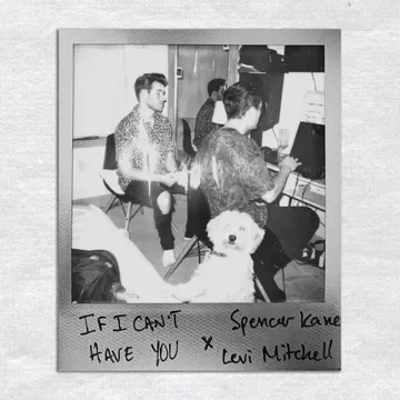 If I Can’t Have You-cover