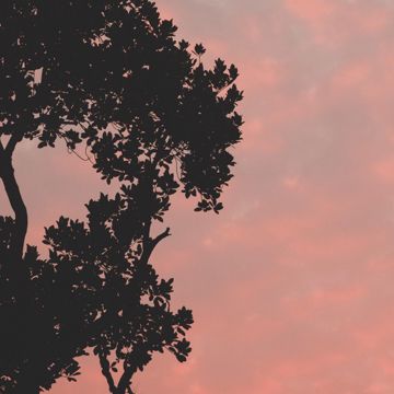I Tried to Get to You-cover