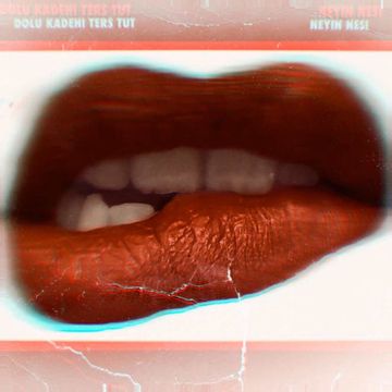 Neyin Nesi-cover