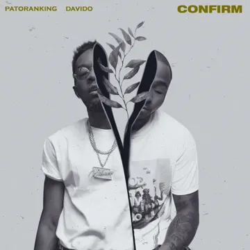 Confirm-cover