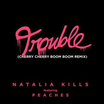 Boom-cover