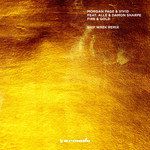 Fire & Gold(Ship Wrek Remix)-cover