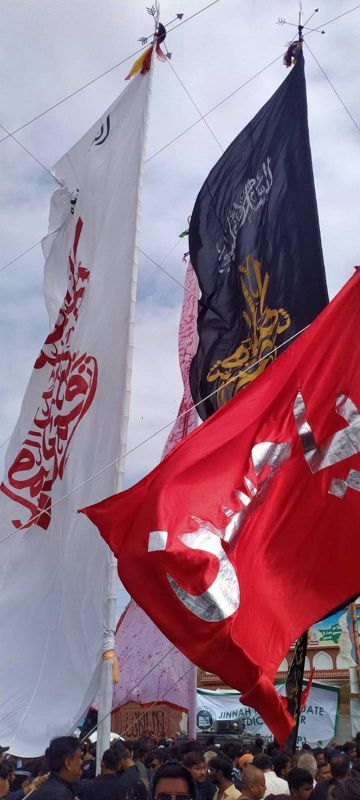 syed-muhammad-shah-ali-ki-haqeeqat-ali-janty-hain-by-mali-cover-image