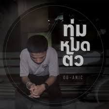 ทุ่มหมดตัว-cover
