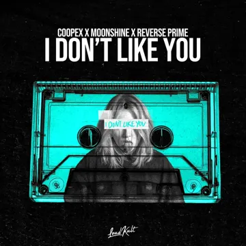 I Don't Like You-cover