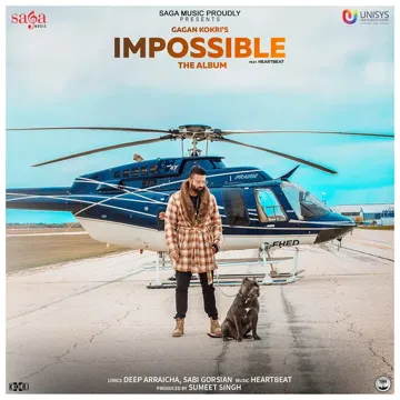 Babbar Sher-cover