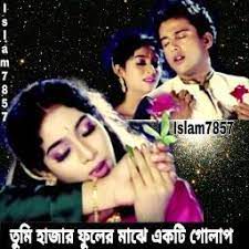 তুমি হাজার ফুলের মাঝে একটি গোলাপ-cover