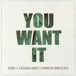 You Want It-cover