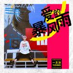 爱的暴风雨(Dj光音坊版)