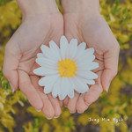 Daisy-cover