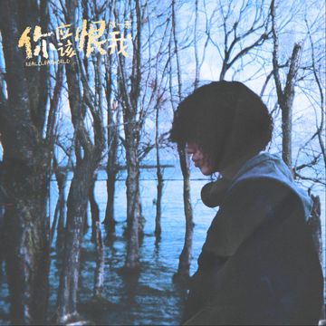 你应该恨我-cover