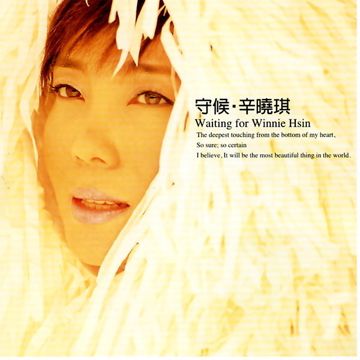 辛晓琪-忐忑-cover-image