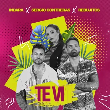 Te Vi-cover