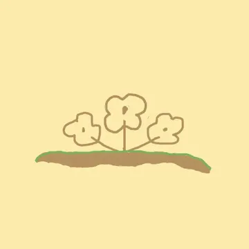 coveImg