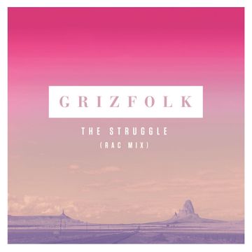 The Struggle-cover