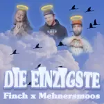 DiE EiNZiGSTE-cover