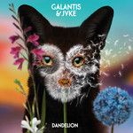 Dandelion-cover