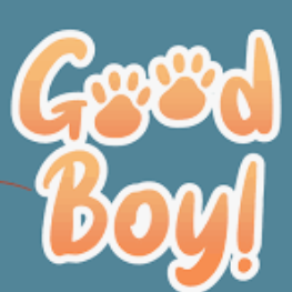 good boy-cover