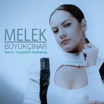 Seni Yazdım Kalbime