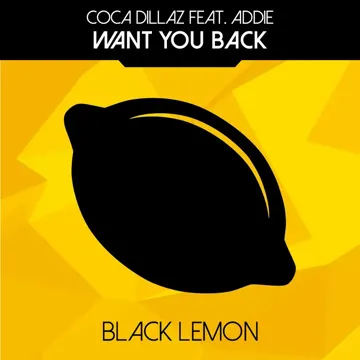 Want You Back (Radio-Edit)-cover
