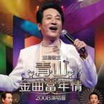 淚的小花(Live)-cover