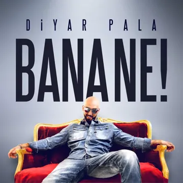 Bana Ne-cover