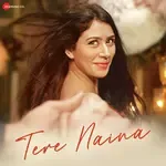Tere Naina-cover