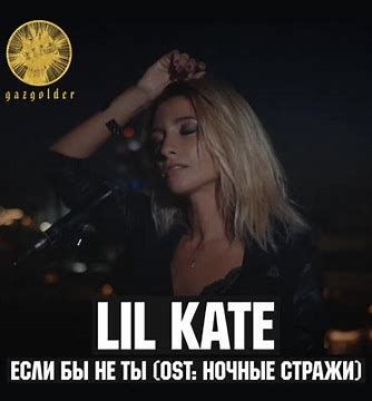 Если бы не ты (OST Ночные стражи)-cover