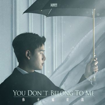 你不属于我 -cover