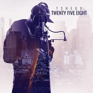 The Vibe-cover