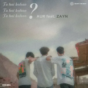 Tu hai kahan (feat. ZAYN)-cover