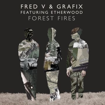 Forest Fires-cover