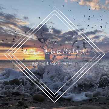 Serena-Safari（被遗忘的濠先生c / Ronghao_Fu remix）-cover