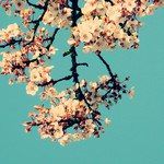 Moonlight-cover
