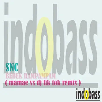 Bebek Rampampam (Mamae vs DJ Tik Tok Remix)-cover