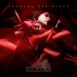 Through the Night (Direct Remix)-cover